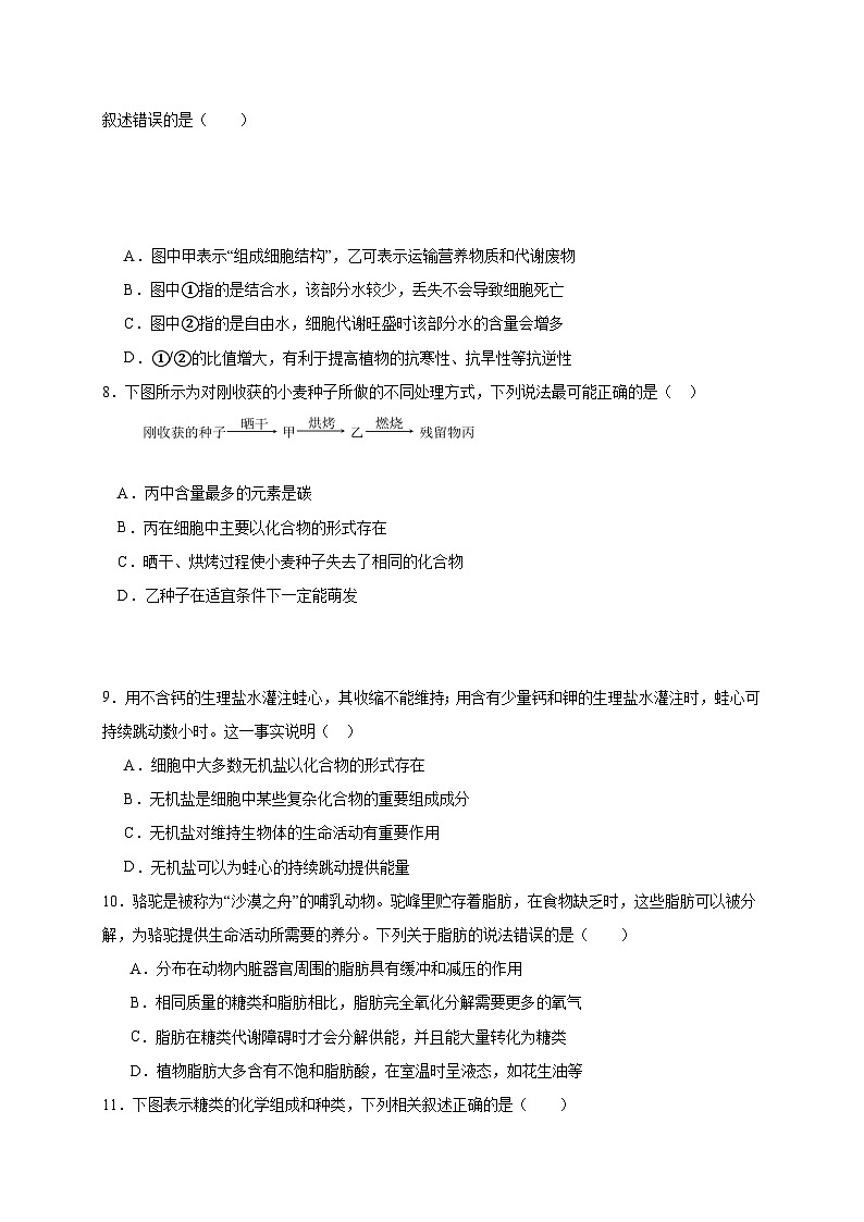 四川省乐山市某校2023-2024学年高一上学期期中考试生物试题02