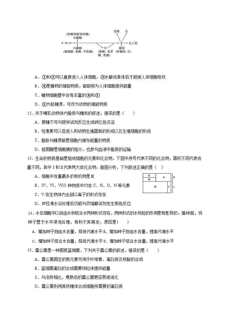 四川省乐山市某校2023-2024学年高一上学期期中考试生物试题03