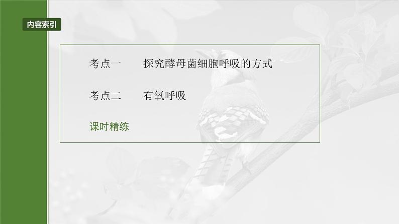 2024届高三生物一轮复习课件第三单元　第13课时　细胞呼吸的方式和有氧呼吸03