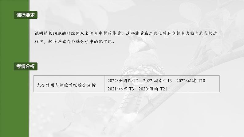 2024届高三生物一轮复习课件第三单元　第18课时　光合速率和呼吸速率的综合分析第2页