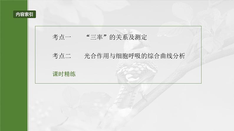 2024届高三生物一轮复习课件第三单元　第18课时　光合速率和呼吸速率的综合分析第3页