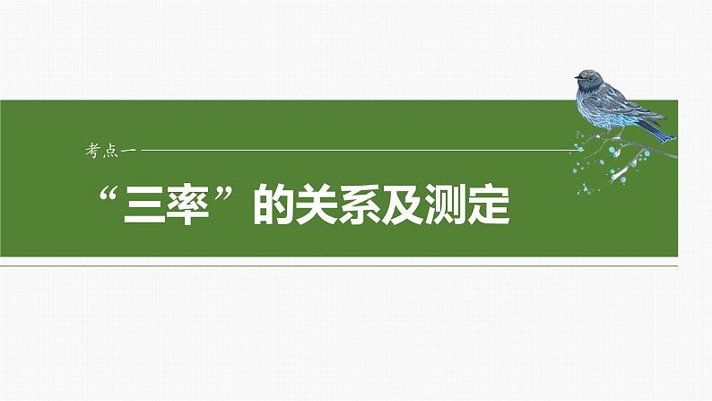 2024届高三生物一轮复习课件第三单元　第18课时　光合速率和呼吸速率的综合分析第4页