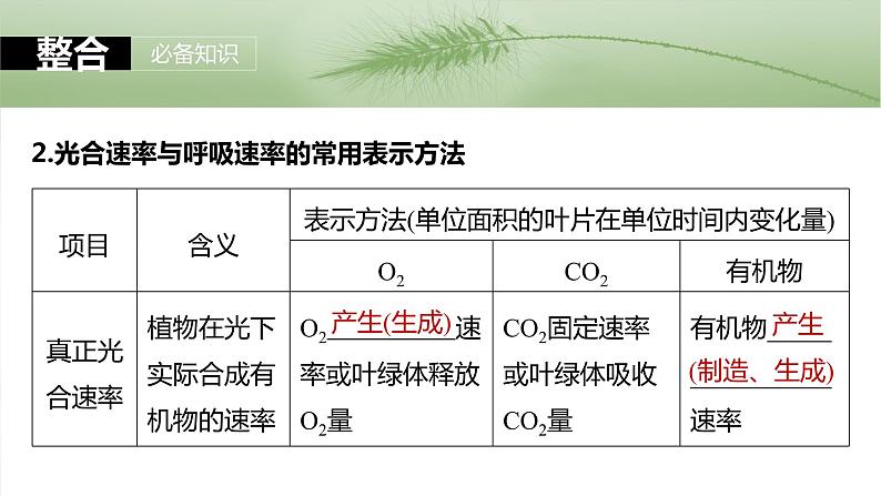 2024届高三生物一轮复习课件第三单元　第18课时　光合速率和呼吸速率的综合分析第6页