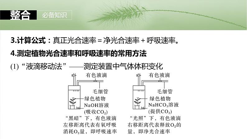 2024届高三生物一轮复习课件第三单元　第18课时　光合速率和呼吸速率的综合分析第8页