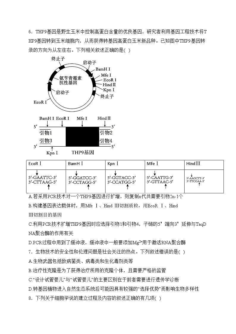 甘肃省兰州第一中学2023-2024学年高二下学期5月月考生物试卷(含答案)02