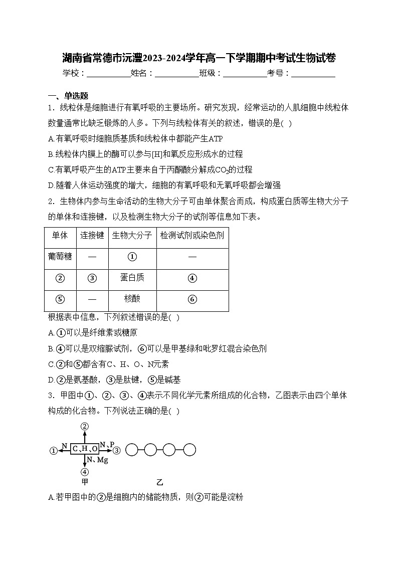 湖南省常德市沅澧2023-2024学年高一下学期期中考试生物试卷(含答案)01