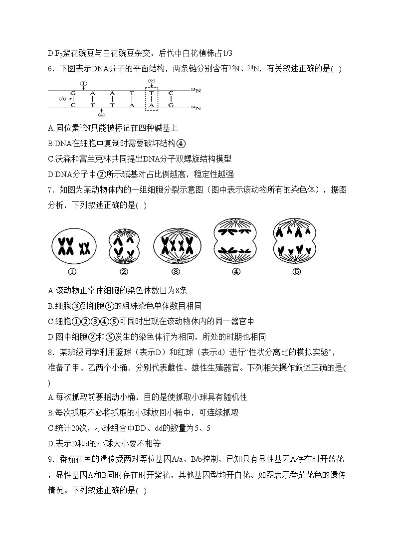 湖南省常德市沅澧2023-2024学年高一下学期期中考试生物试卷(含答案)03