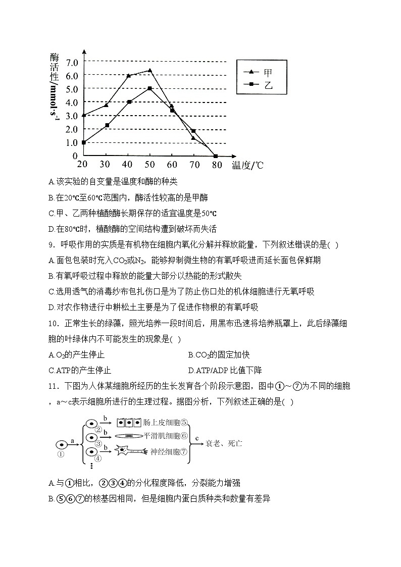 开平市忠源纪念中学2023-2024学年高一下学期期中考试生物（选择性）试卷(含答案)第3页