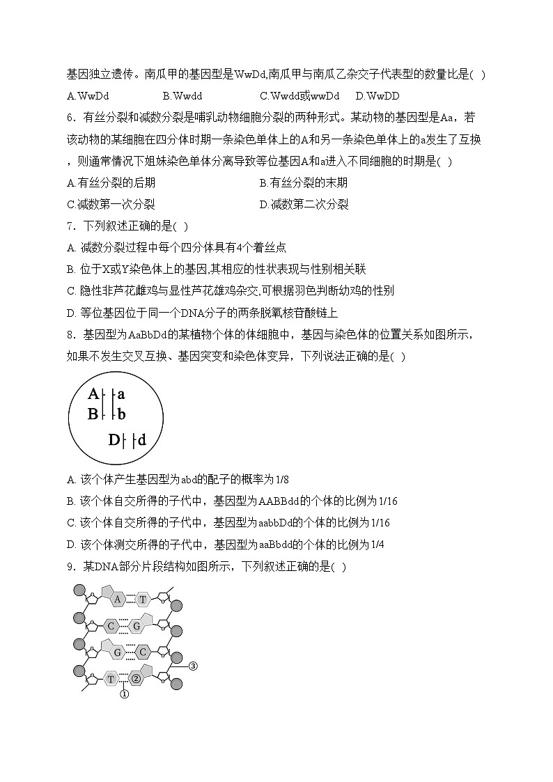 四川省眉山市东坡区2023-2024学年高一下学期期中考试生物试卷(含答案)02