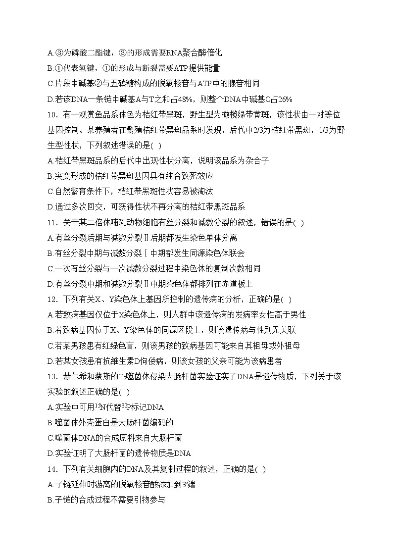 四川省眉山市东坡区2023-2024学年高一下学期期中考试生物试卷(含答案)03