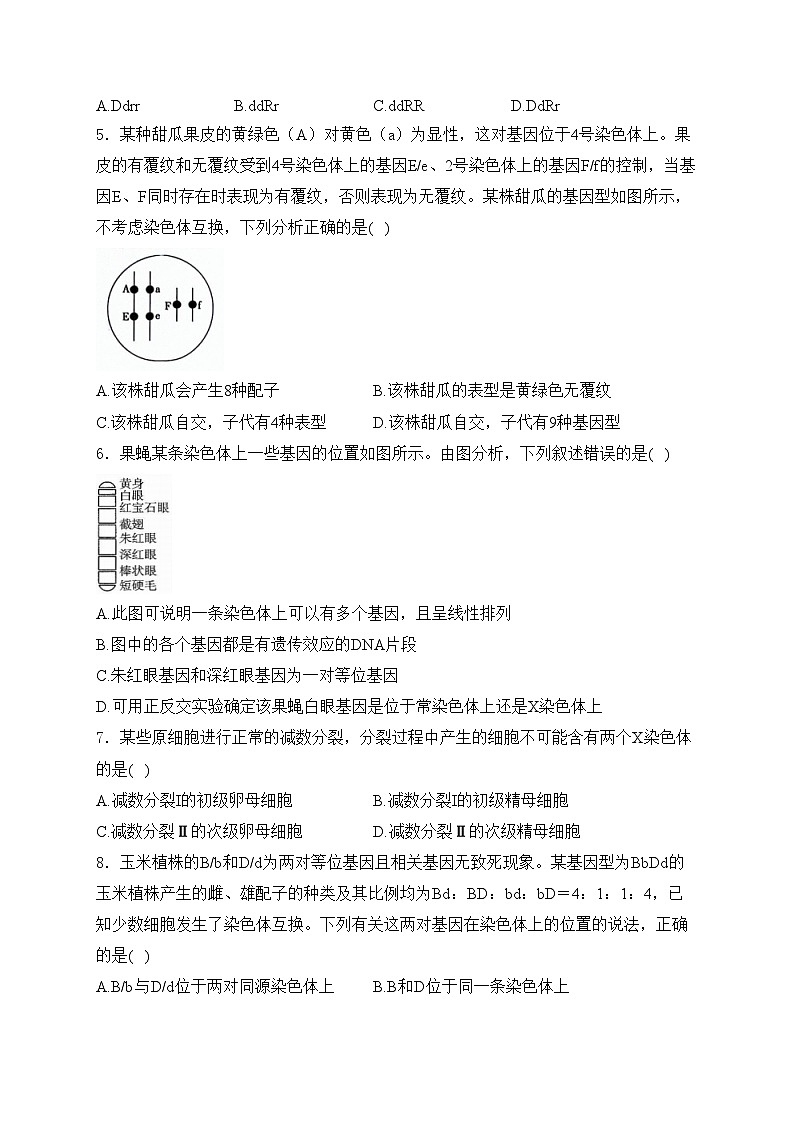 四川省雅安中学、石棉中学2023-2024学年高一下学期5月月考生物试卷(含答案)第2页