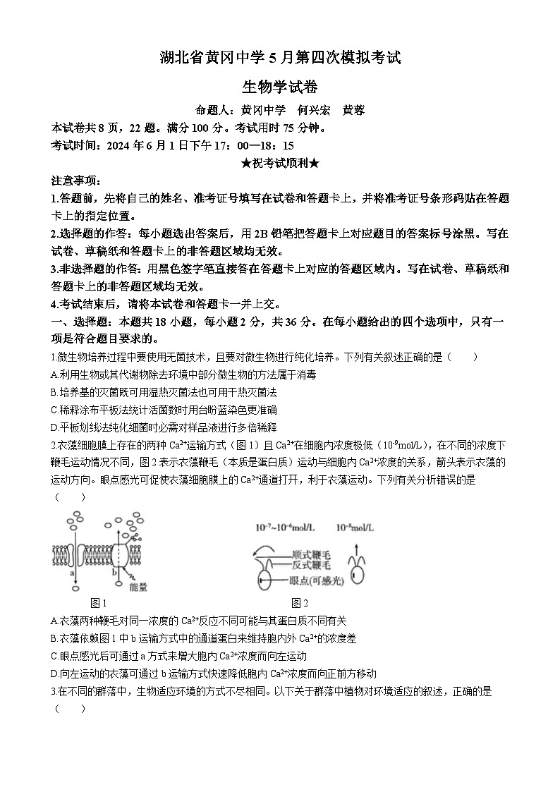 2024黄冈中学高三下学期5月四模生物试题含答案01