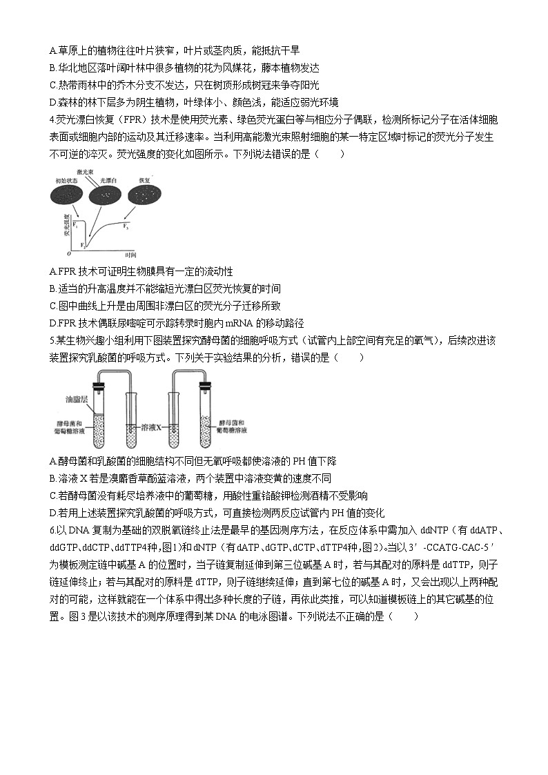 2024黄冈中学高三下学期5月四模生物试题含答案02