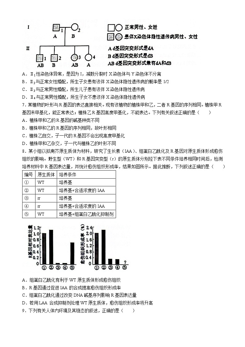 2024六安一中高三下学期质量检测（四）生物含解析第2页