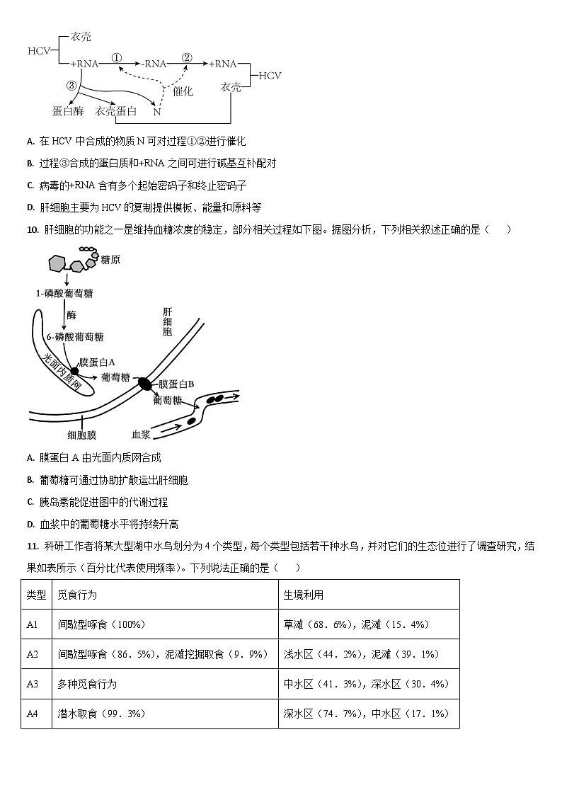 2024通化梅河口五中高三下学期三模试题生物含答案03