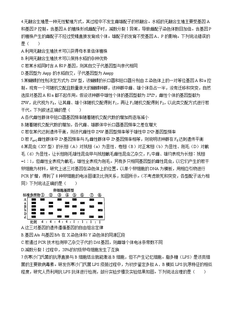 2024山东省实验中学高三下学期5月第二次模拟考试生物含答案02
