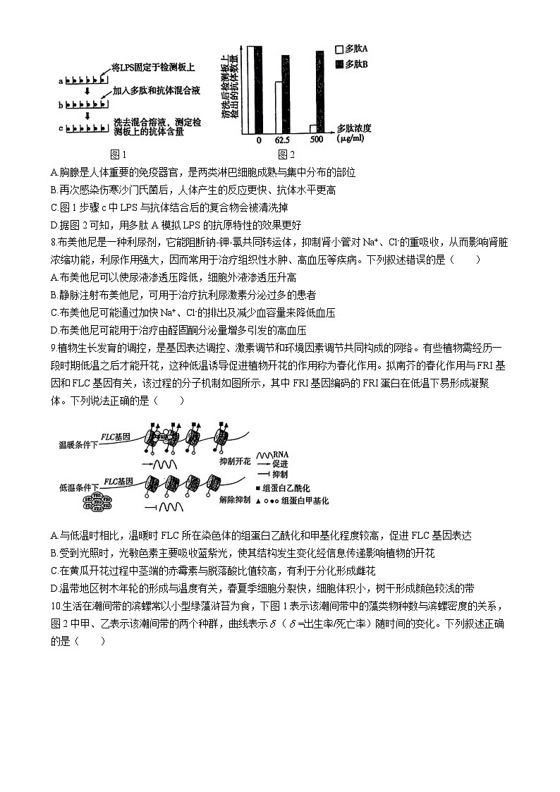 2024山东省实验中学高三下学期5月第二次模拟考试生物含答案03