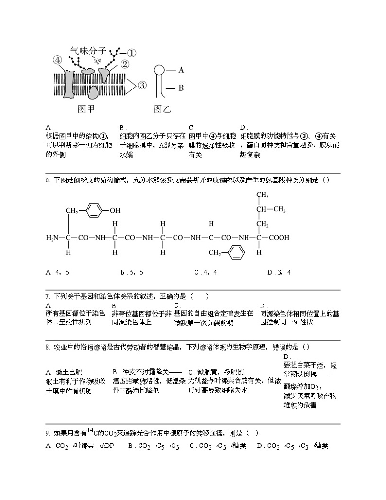 浙江省杭州市西湖区西湖高级中学2023-2024学年高一下学期4月期中考试生物学试题02