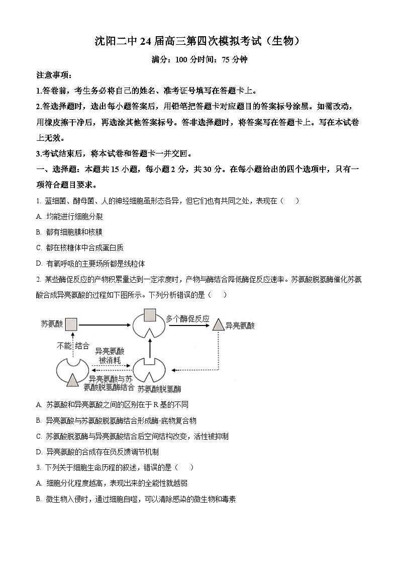 辽宁省沈阳市第二中学2024届高三下学期第四次模拟考试生物试题（Word版附解析）01