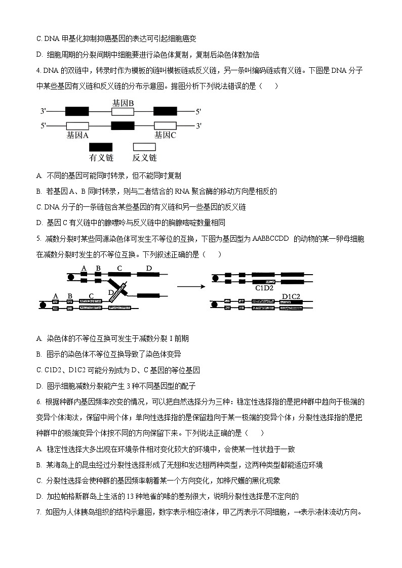 辽宁省沈阳市第二中学2024届高三下学期第四次模拟考试生物试题（Word版附解析）02
