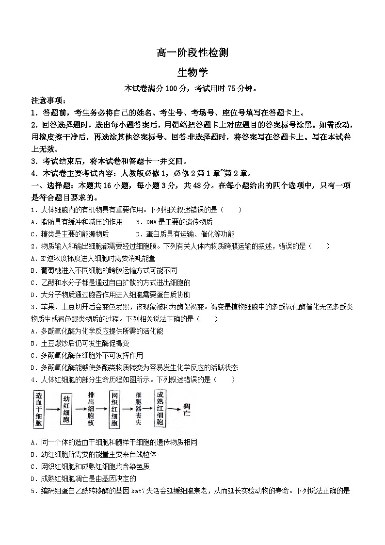 甘肃省白银市2023-2024学年高一下学期5月期中考试生物试题（Word版附答案）01