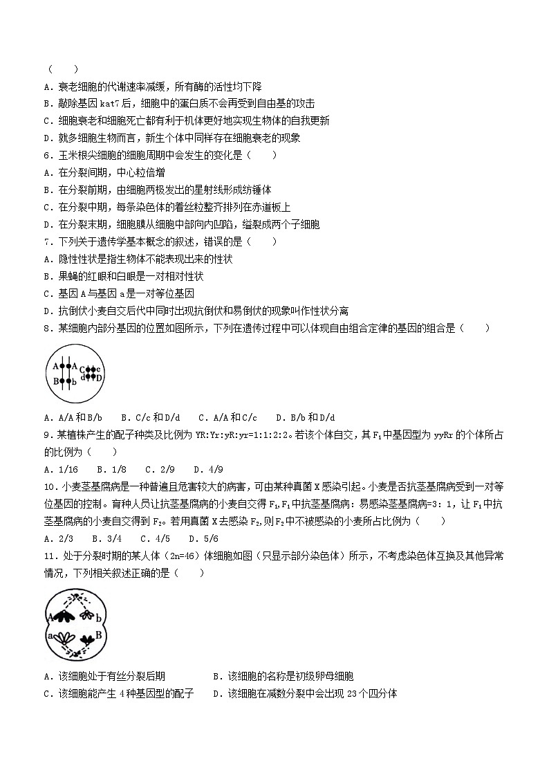 甘肃省白银市2023-2024学年高一下学期5月期中考试生物试题（Word版附答案）02