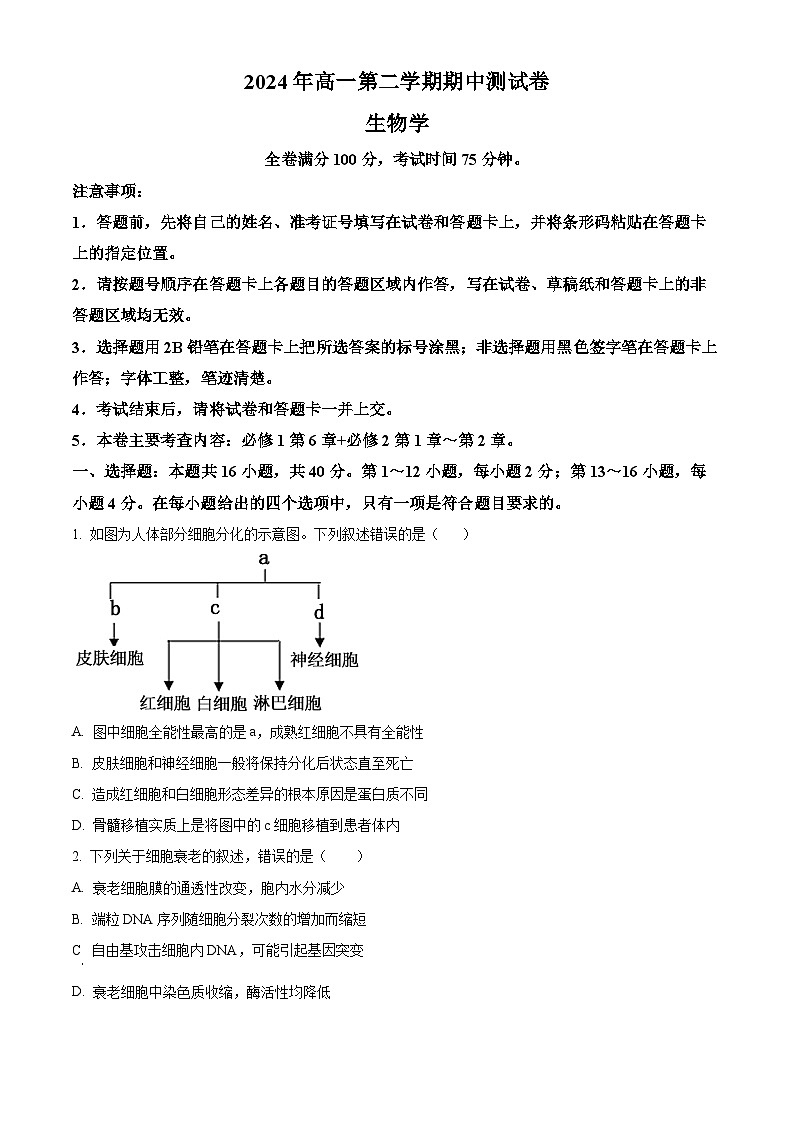 广东省高州市2023-2024学年高一下学期期中考试生物试题（Word版附解析）01