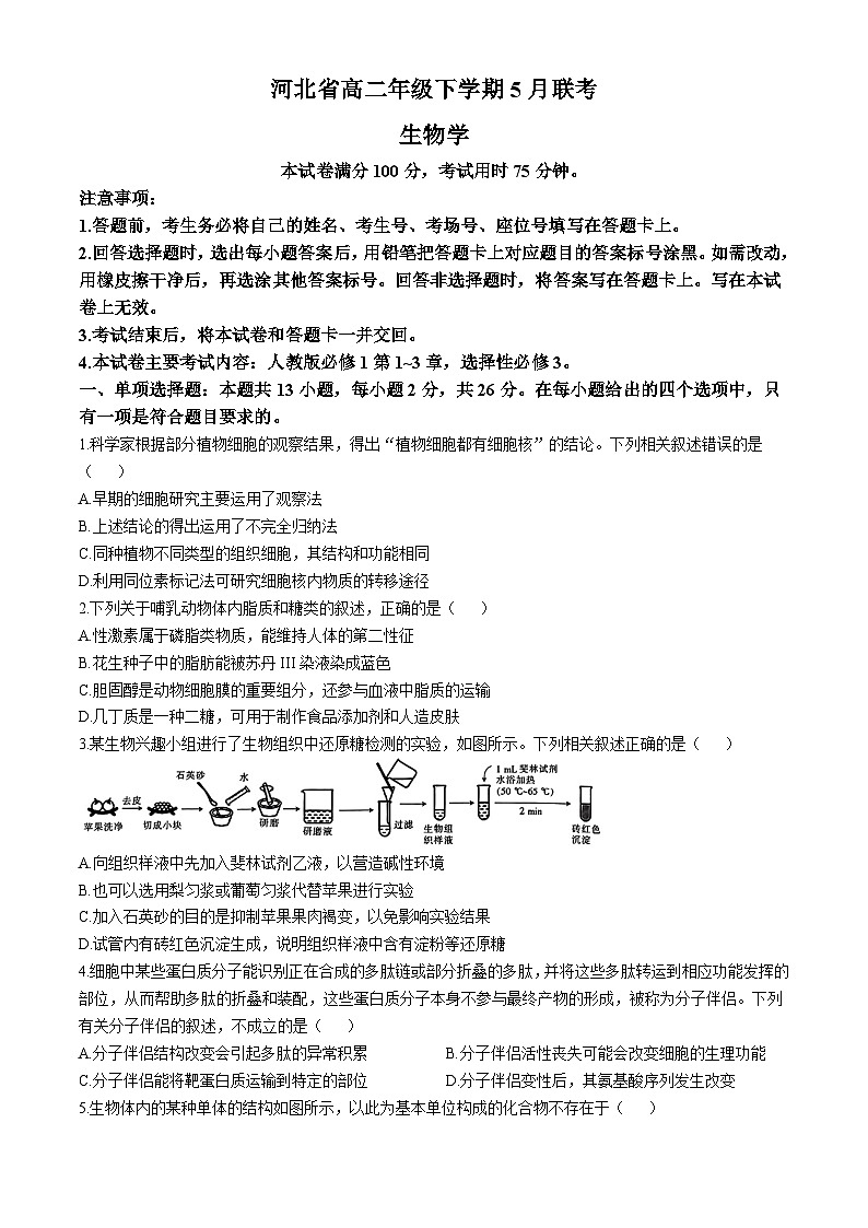 河北省保定市部分示范性高中2023-2024学年高二下学期5月期中考试生物试题（Word版附答案）01
