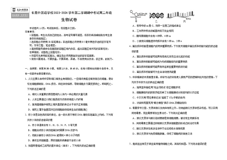 吉林省长春外国语学校2023-2024学年高二下学期5月期中考试生物试题（Word版附答案）01