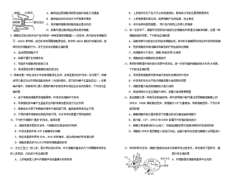 吉林省长春外国语学校2023-2024学年高二下学期5月期中考试生物试题（Word版附答案）02