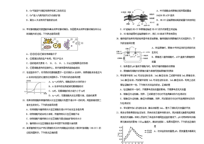 吉林省长春外国语学校2023-2024学年高二下学期5月期中考试生物试题（Word版附答案）03