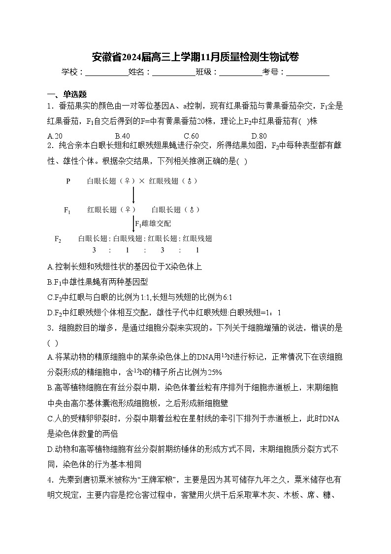 安徽省2024届高三上学期11月质量检测生物试卷(含答案)01
