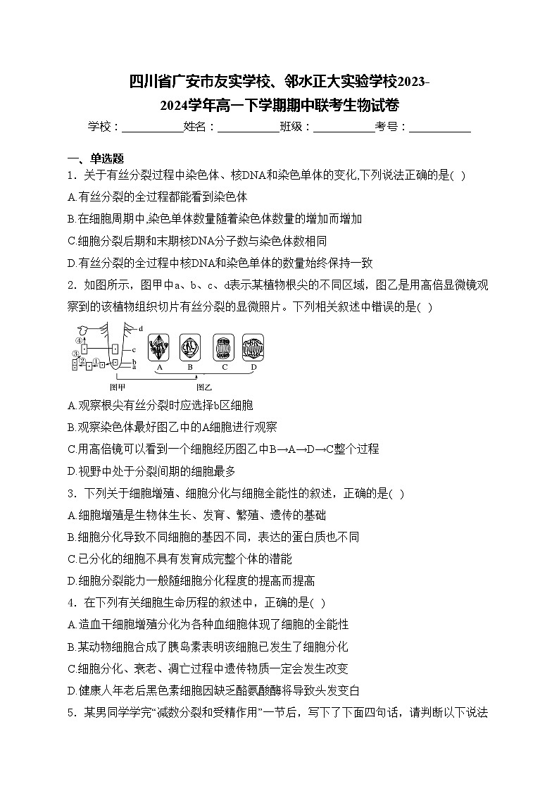 四川省广安市友实学校、邻水正大实验学校2023-2024学年高一下学期期中联考生物试卷(含答案)第1页