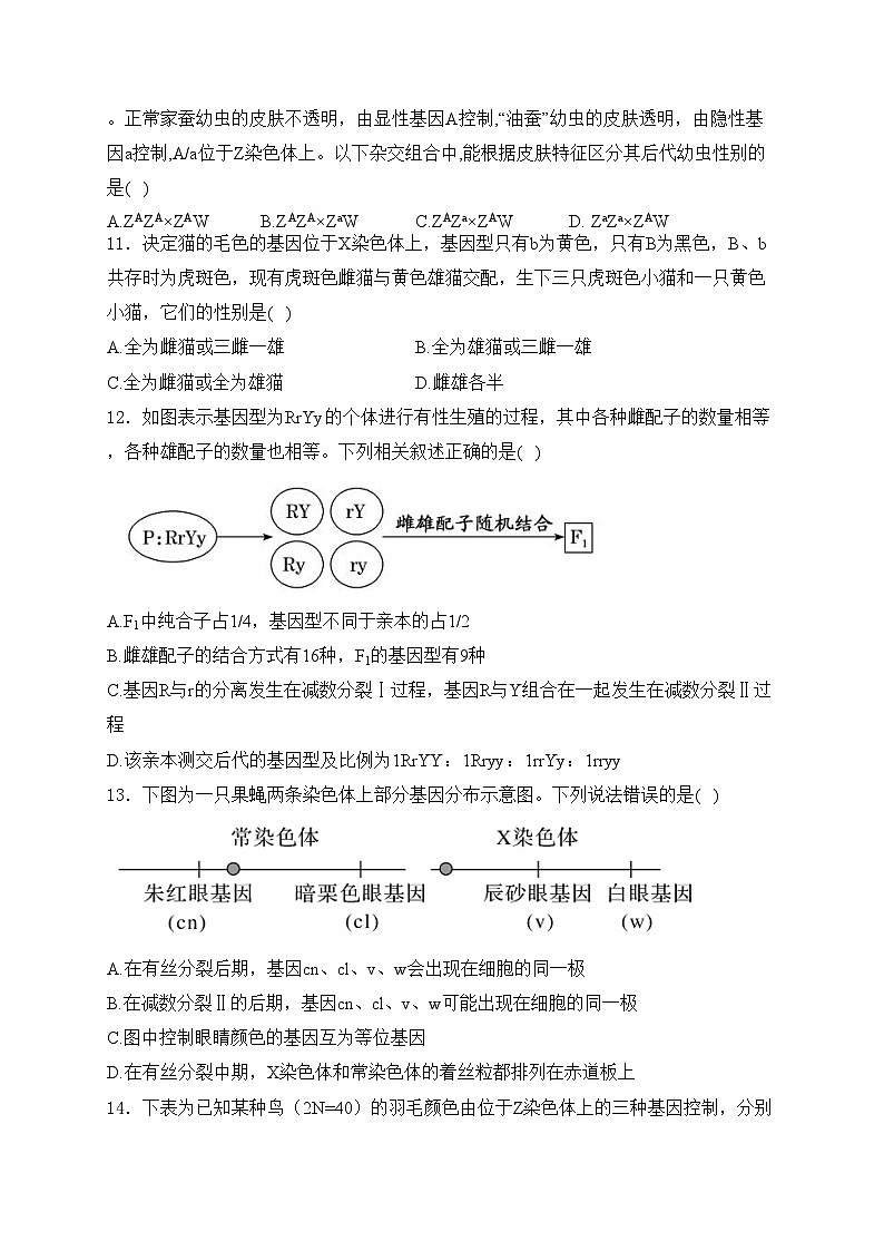 四川省广安市友实学校、邻水正大实验学校2023-2024学年高一下学期期中联考生物试卷(含答案)第3页