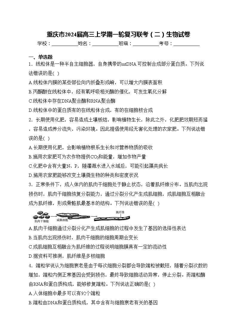 重庆市2024届高三上学期一轮复习联考（二）生物试卷(含答案)01