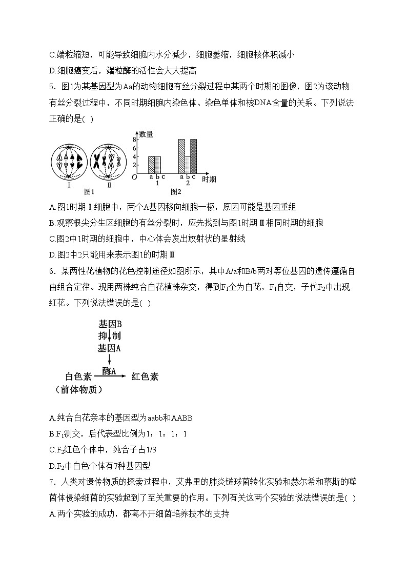 重庆市2024届高三上学期一轮复习联考（二）生物试卷(含答案)02