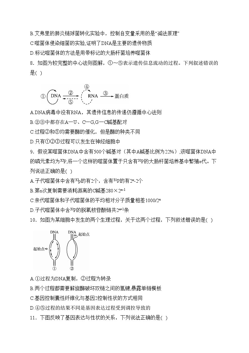 重庆市2024届高三上学期一轮复习联考（二）生物试卷(含答案)03