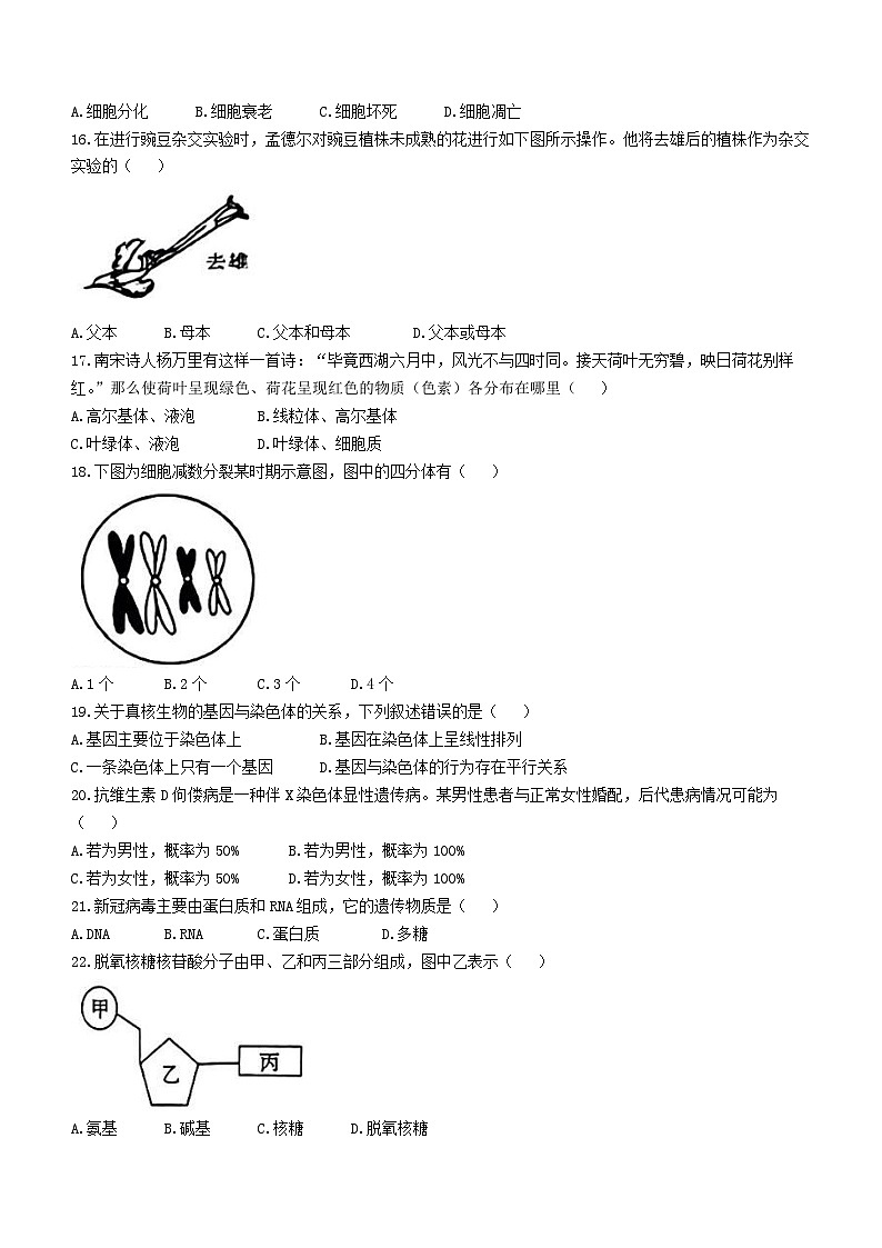 海南省省直辖县级行政单位文昌市文昌市田家炳中学2023-2024学年高一下学期6月月考生物学试题（含答案）02