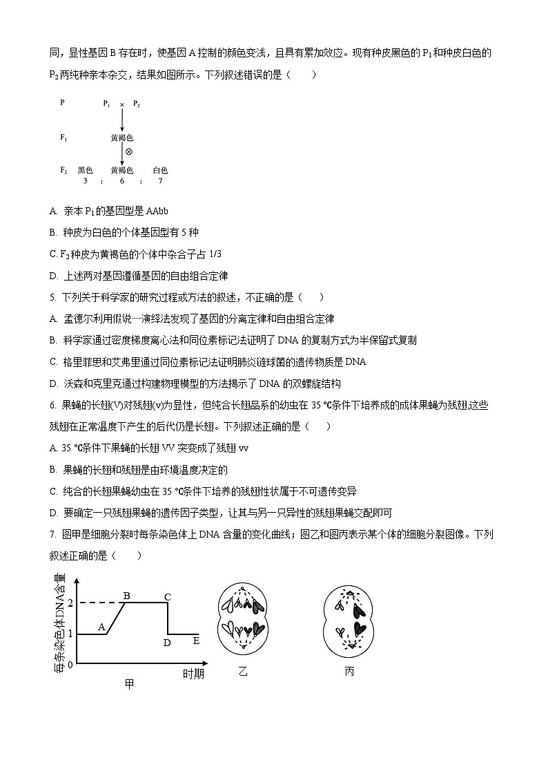 2024漯河高级中学高一下学期5月月考试题生物含解析02