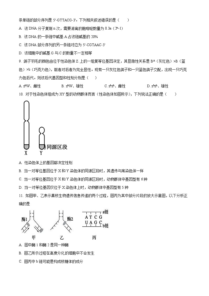2024辽宁省实验中学高一下学期期中考试生物含解析第3页