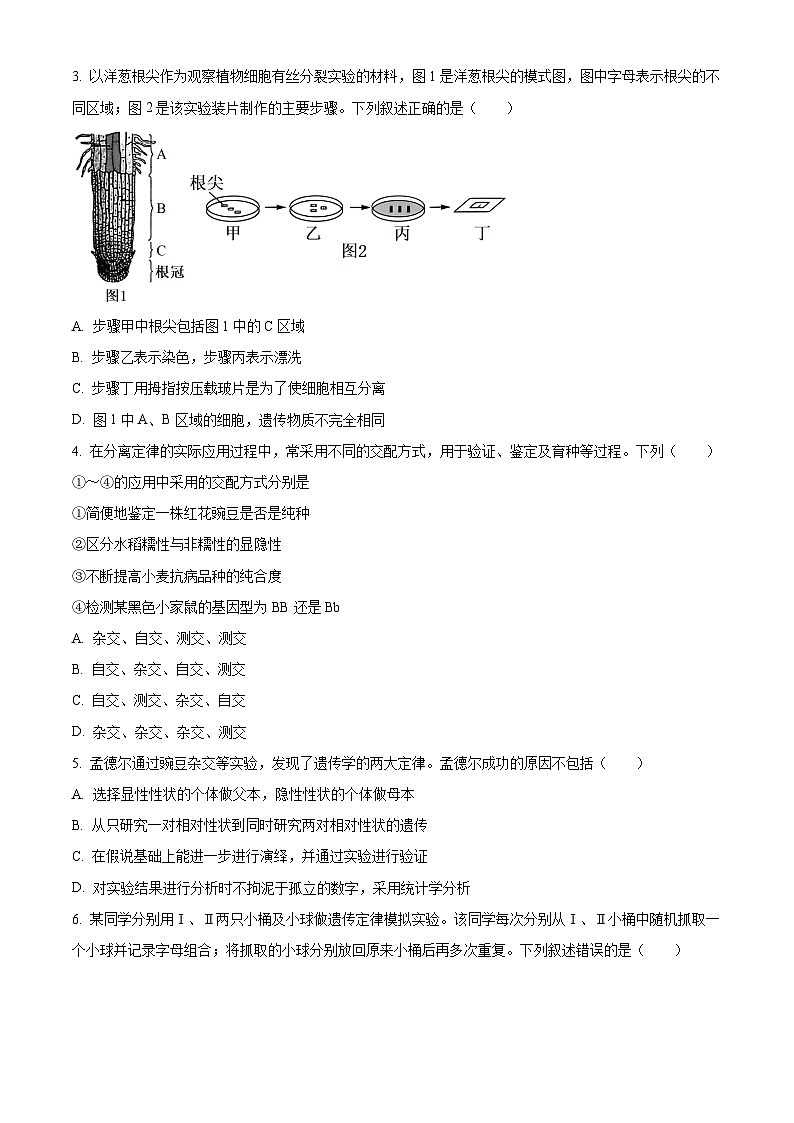 2024高州高一下学期期中考试生物含解析第2页