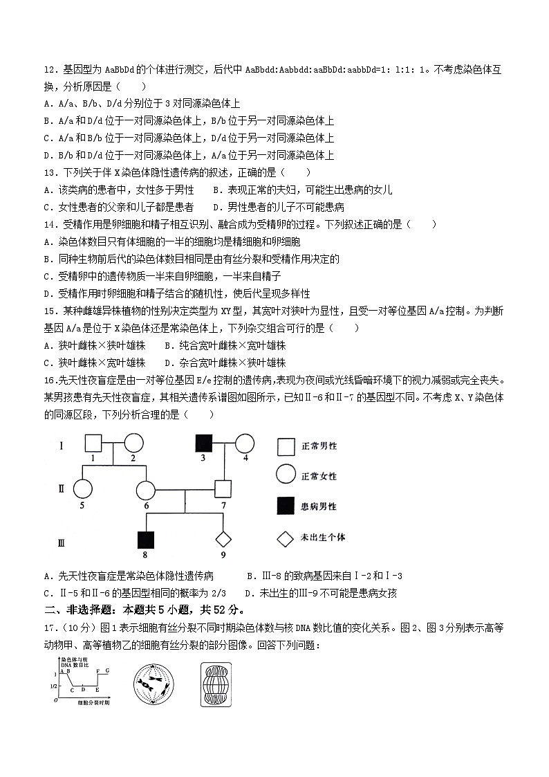2024白银高一下学期5月期中考试生物含答案第3页