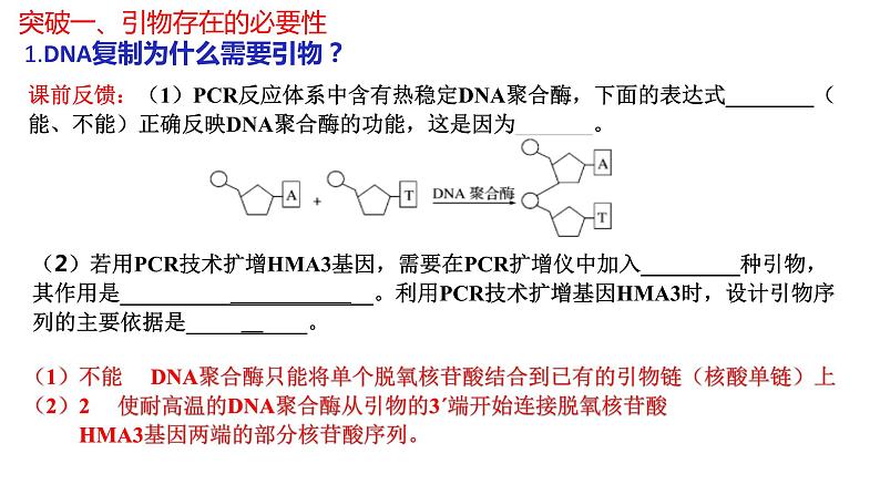 2024届高三生物二轮复习专项练习课件：PCR中引物专题第2页