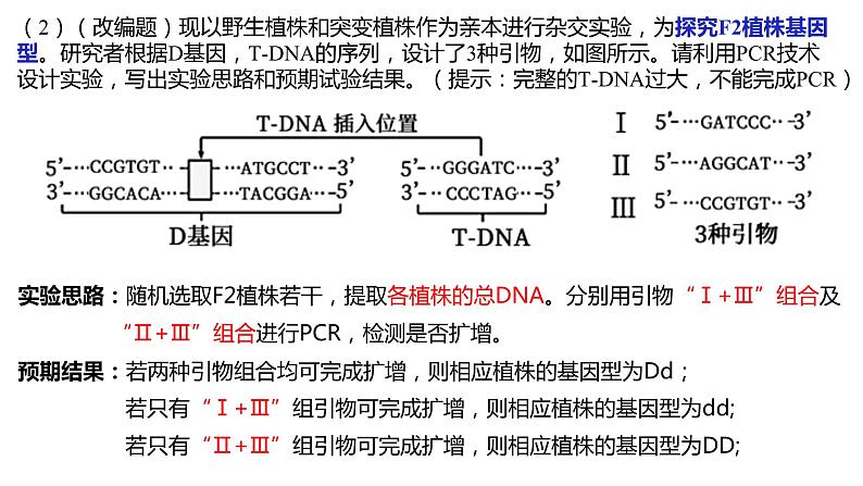 2024届高三生物二轮复习专项练习课件：PCR中引物专题第5页