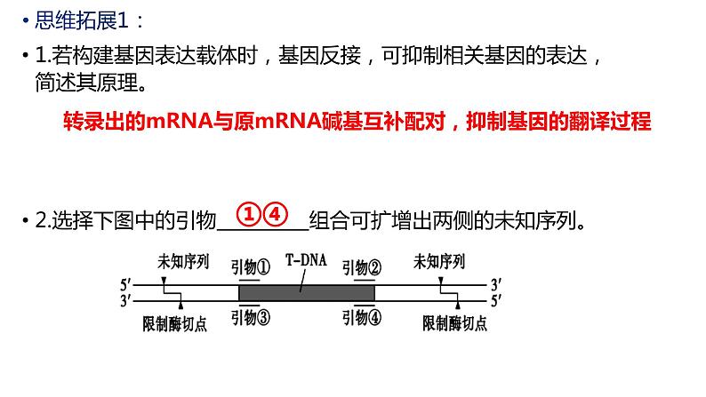 2024届高三生物二轮复习专项练习课件：PCR中引物专题第6页