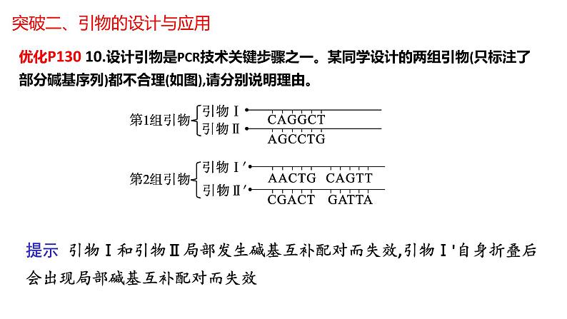 2024届高三生物二轮复习专项练习课件：PCR中引物专题第7页