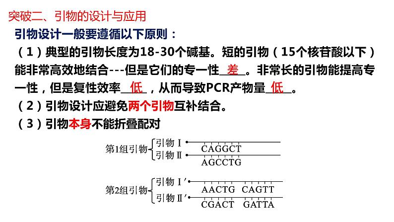 2024届高三生物二轮复习专项练习课件：PCR中引物专题第8页