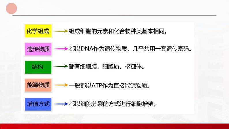 2024届高三生物一轮复习课件 细胞及其多样性和统一性第6页