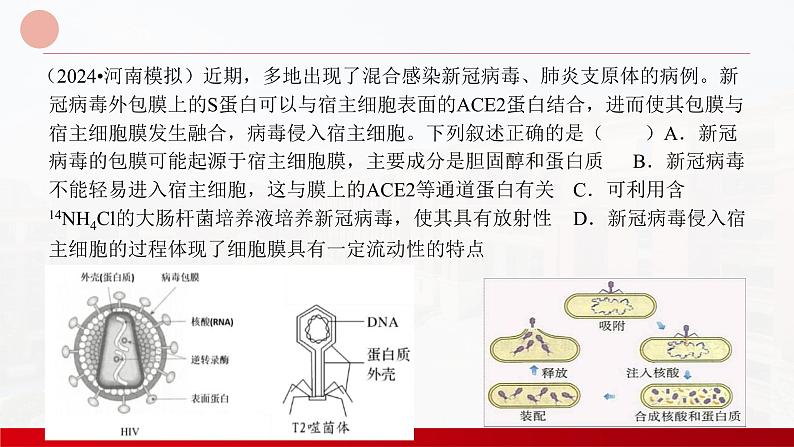 2024届高三生物一轮复习课件 细胞及其多样性和统一性第8页