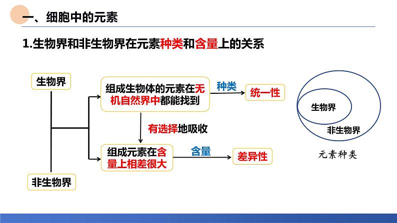 2024届高三生物一轮复习课件：考点3 细胞中的元素和化合物第3页